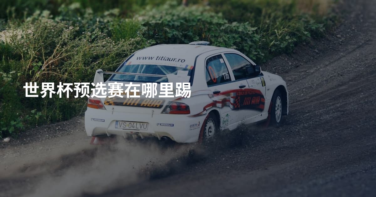 世界杯预选赛在哪里踢
