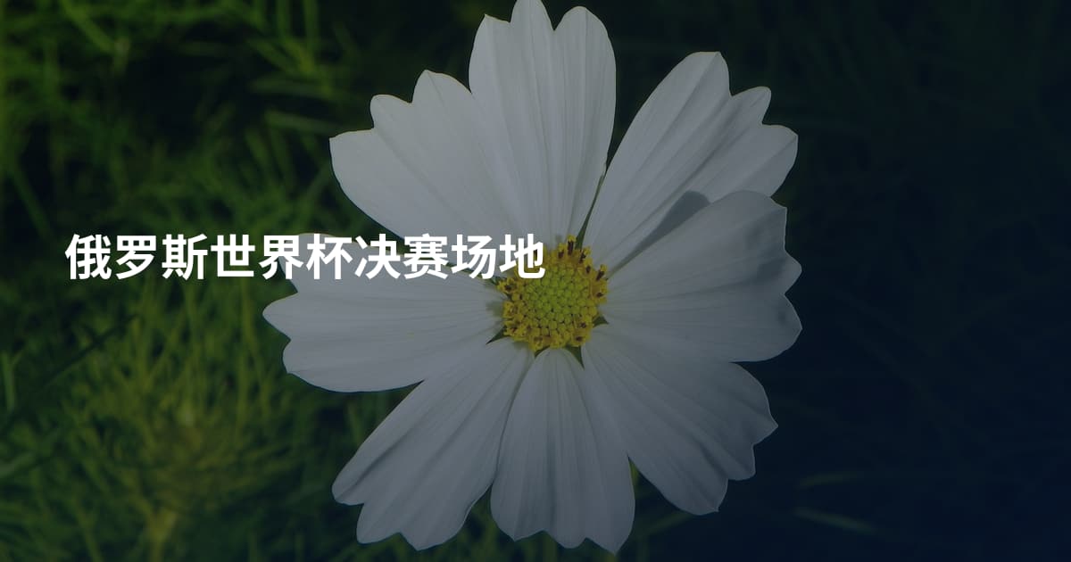 俄罗斯世界杯决赛场地