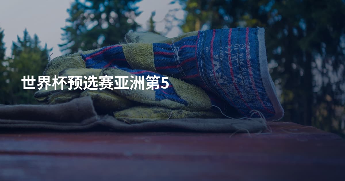 世界杯预选赛亚洲第5