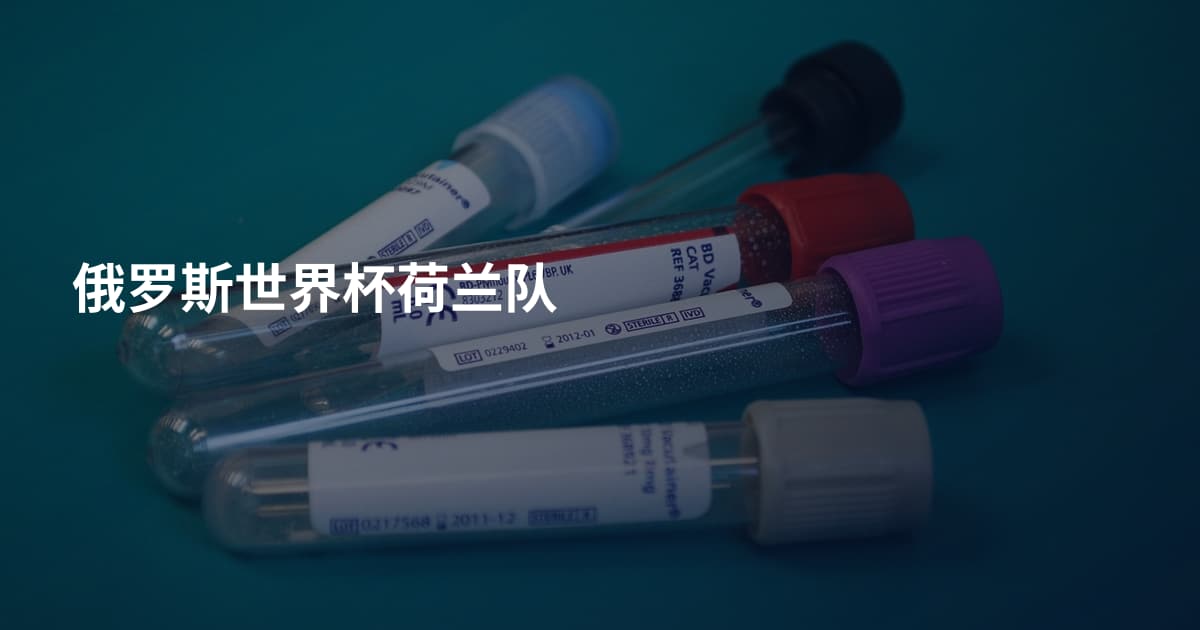 俄罗斯世界杯荷兰队