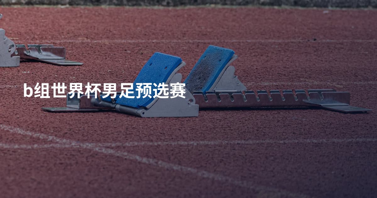 b组世界杯男足预选赛