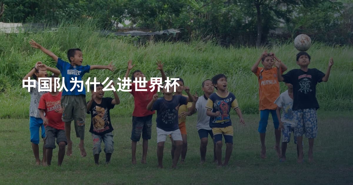 中国队为什么进世界杯