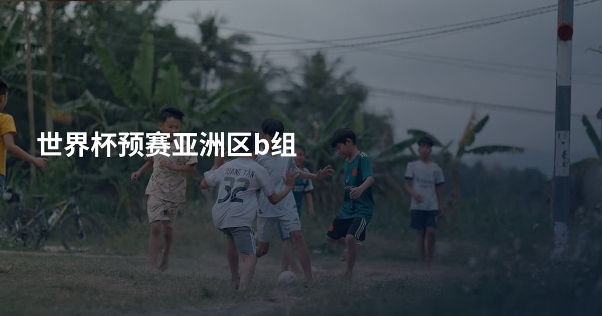世界杯预赛亚洲区b组