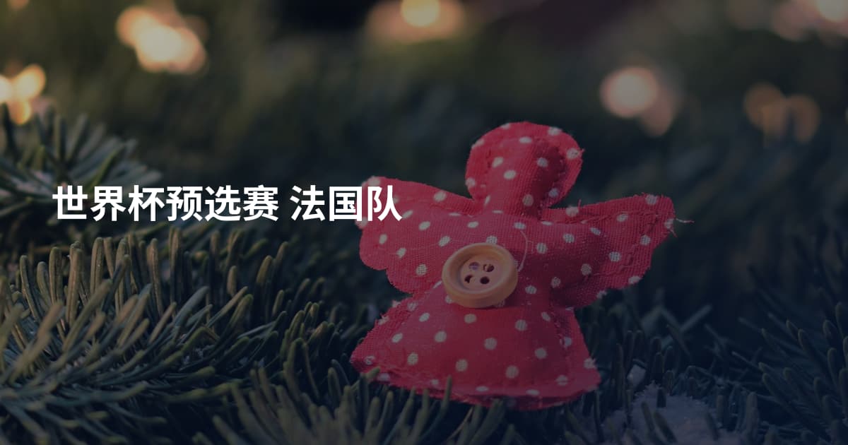 世界杯预选赛 法国队