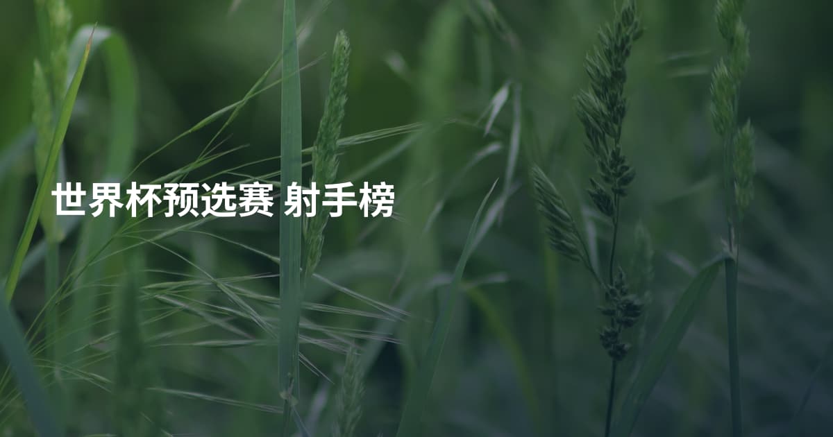世界杯预选赛 射手榜