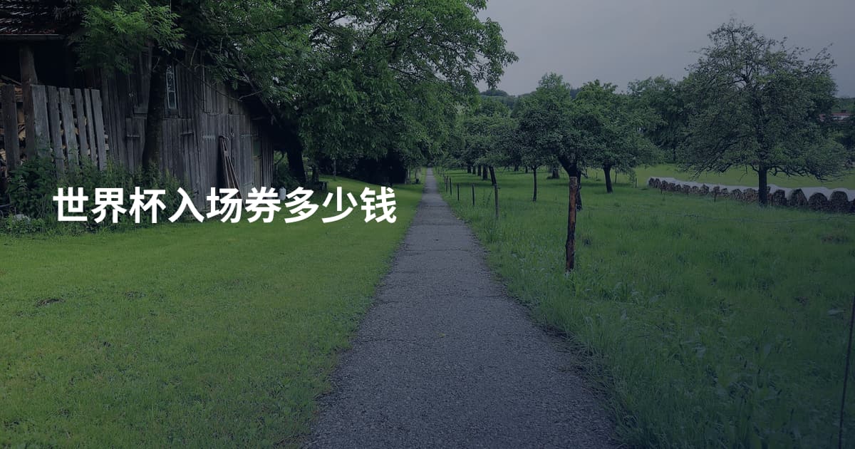 世界杯入场券多少钱
