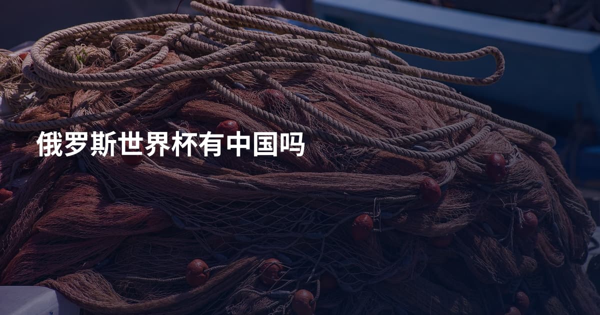 俄罗斯世界杯有中国吗