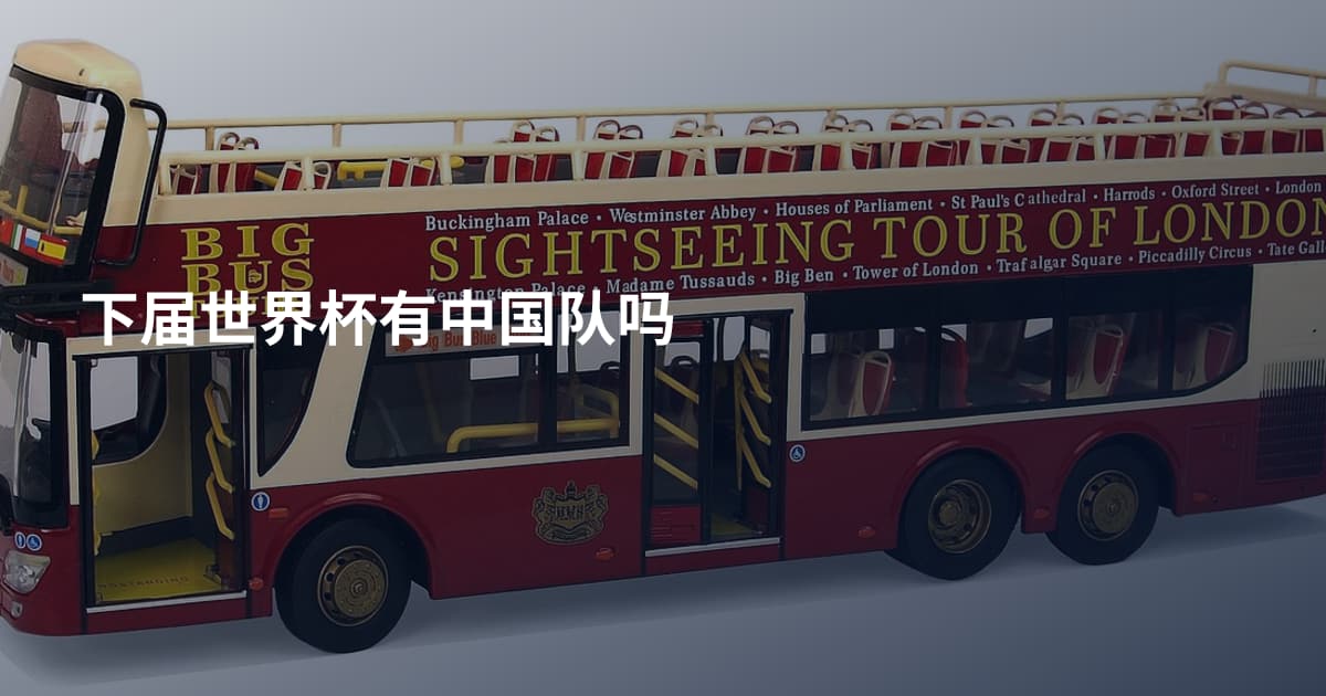 下届世界杯有中国队吗