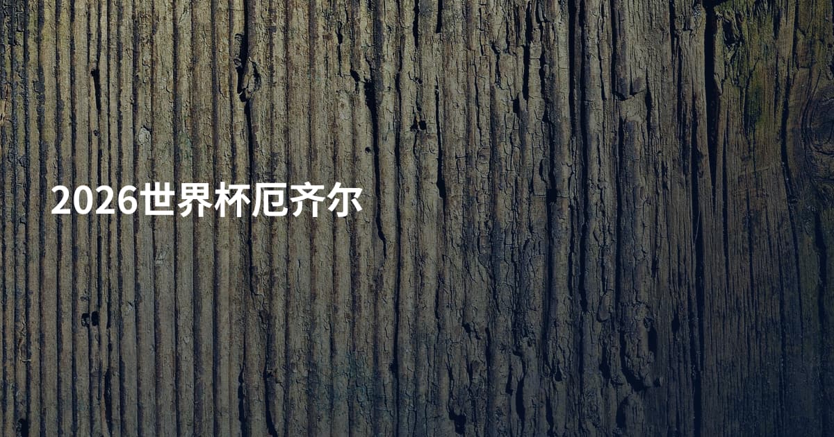 2026世界杯厄齐尔