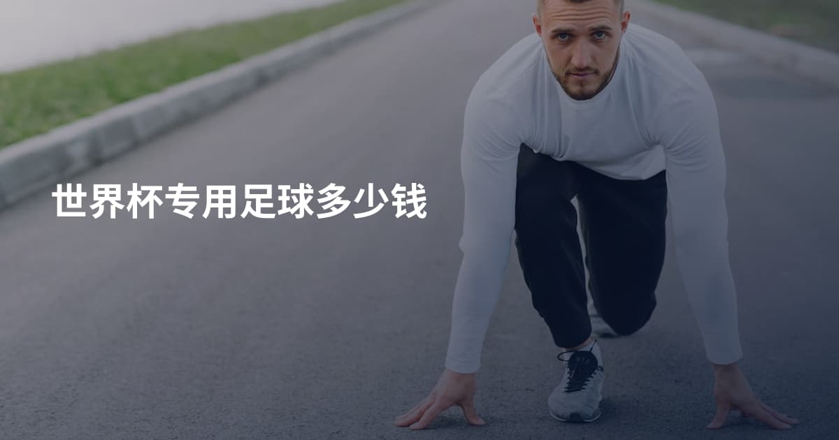 世界杯专用足球多少钱