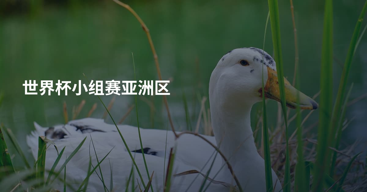 世界杯小组赛亚洲区