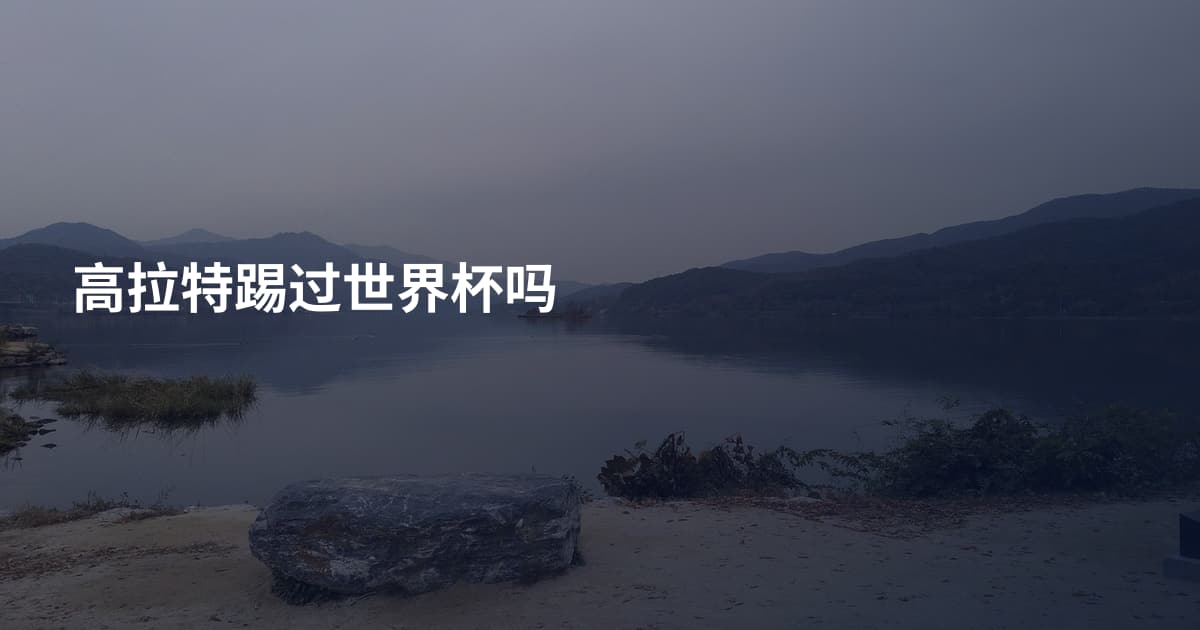 高拉特踢过世界杯吗