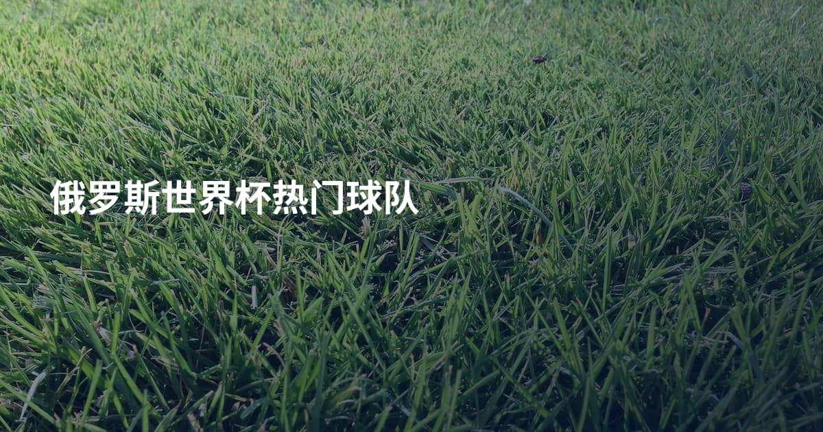 俄罗斯世界杯热门球队