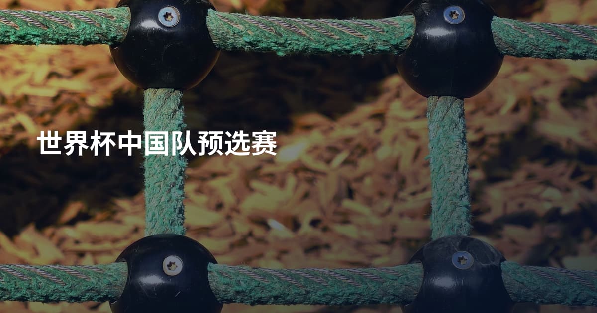 世界杯中国队预选赛
