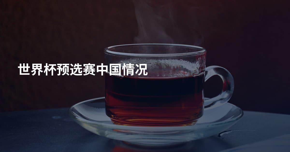 世界杯预选赛中国情况