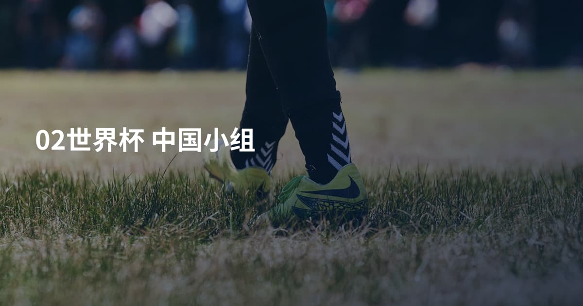 02世界杯 中国小组