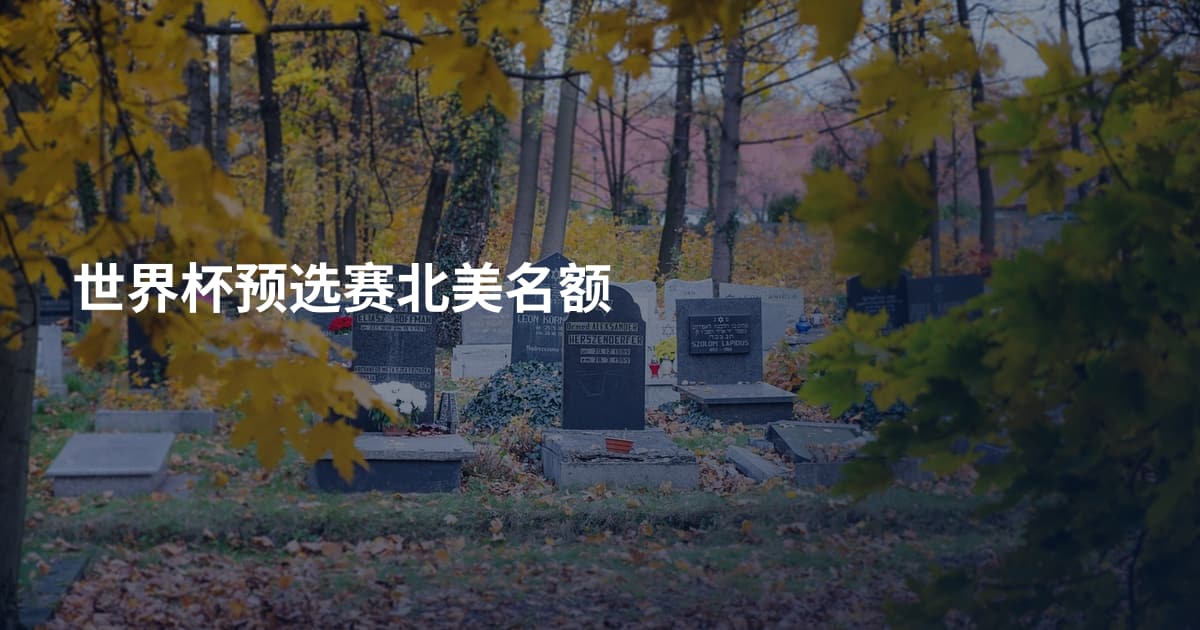 世界杯预选赛北美名额