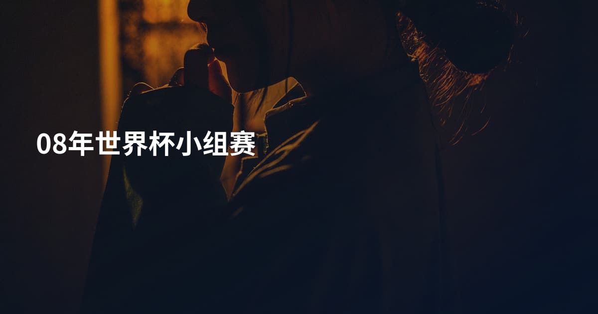 08年世界杯小组赛