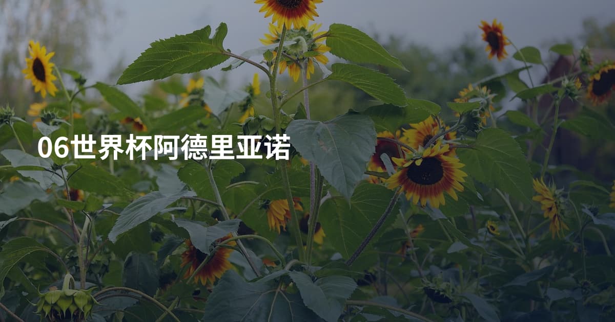 06世界杯阿德里亚诺