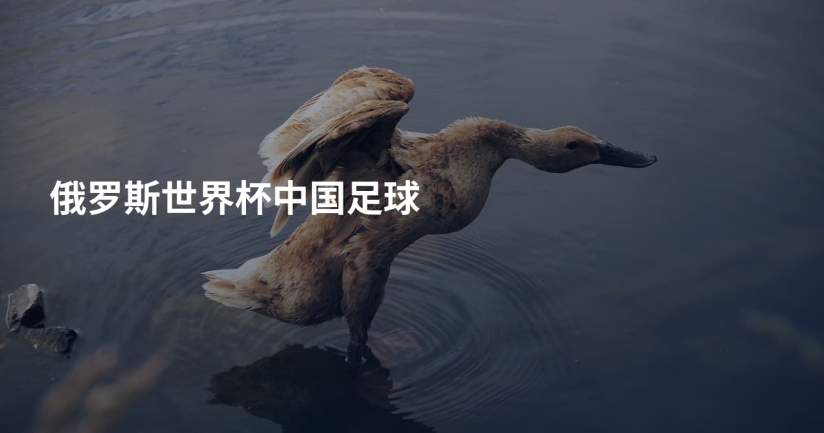 俄罗斯世界杯中国足球