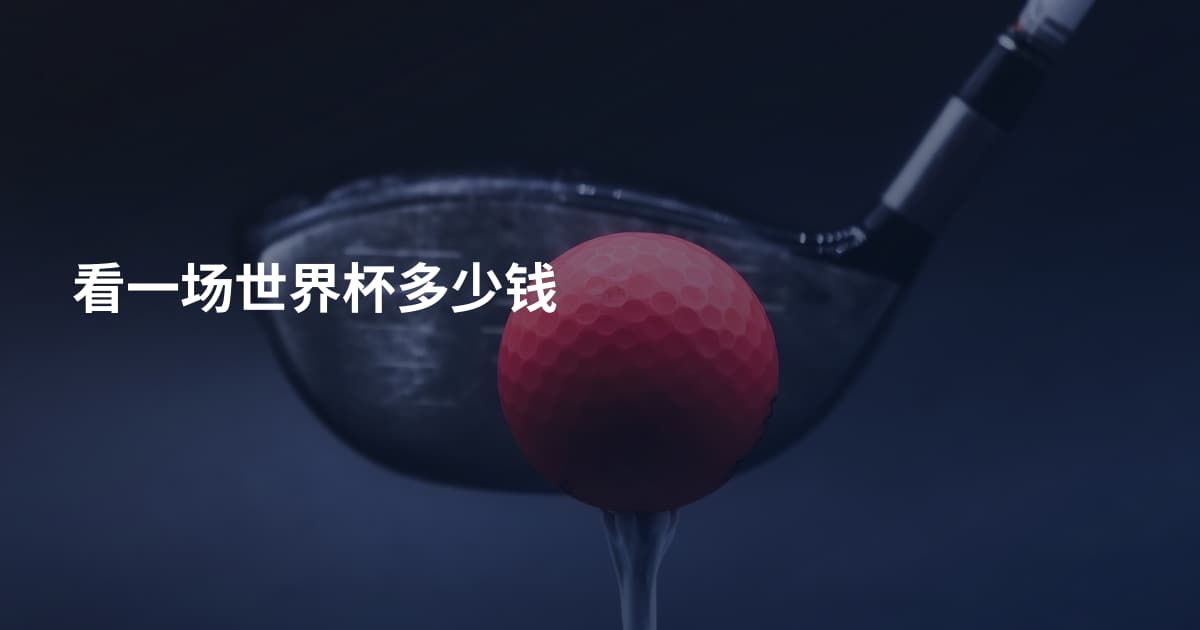 看一场世界杯多少钱