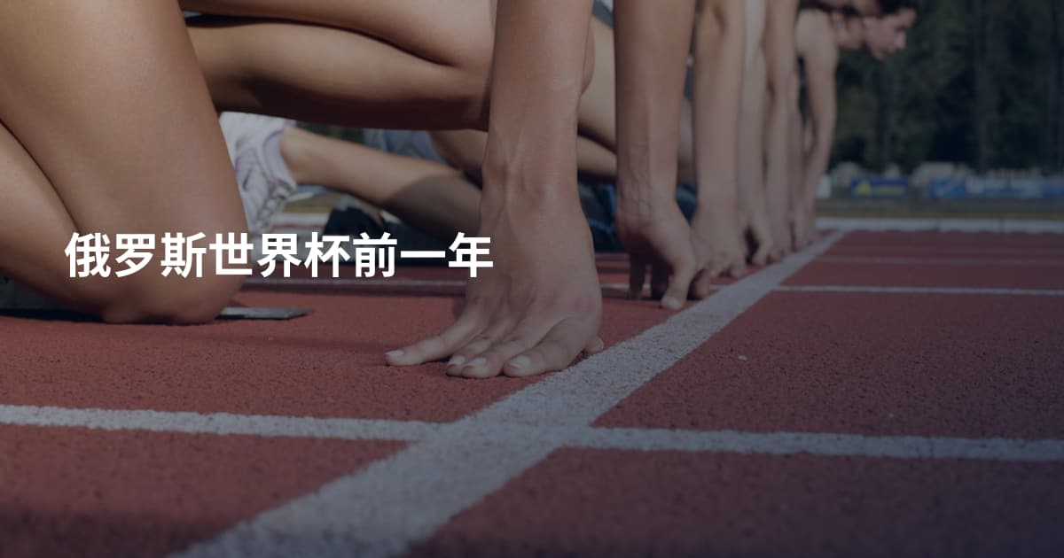 俄罗斯世界杯前一年