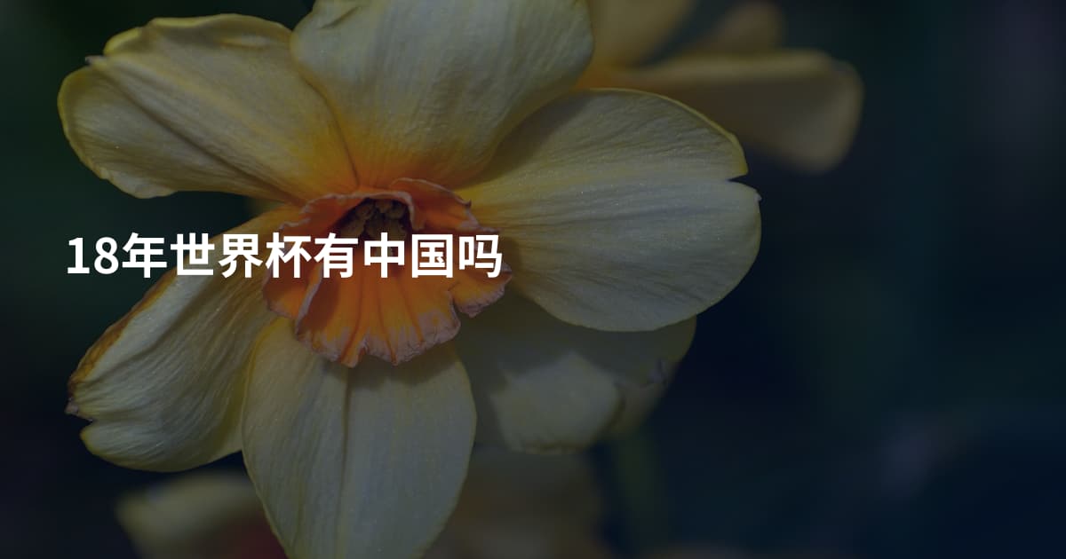 18年世界杯有中国吗