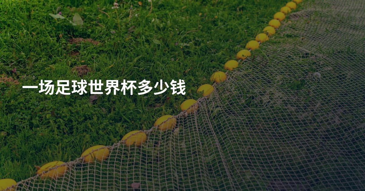 一场足球世界杯多少钱
