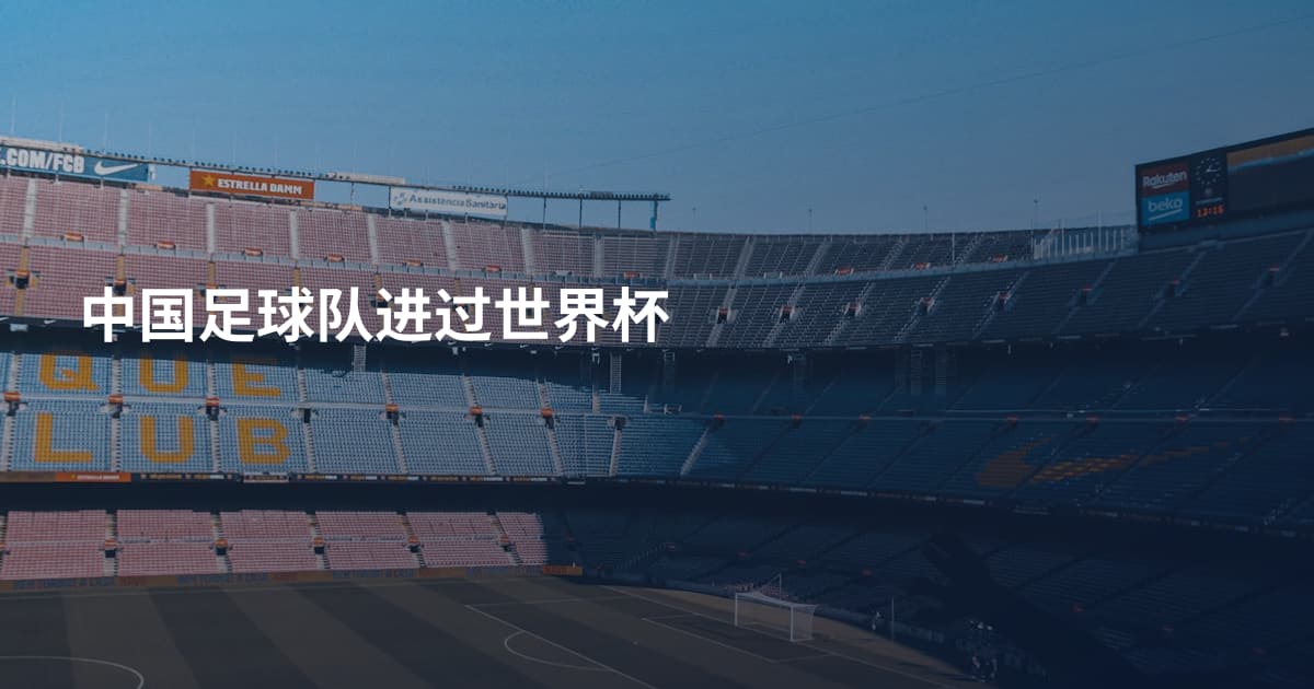 中国足球队进过世界杯