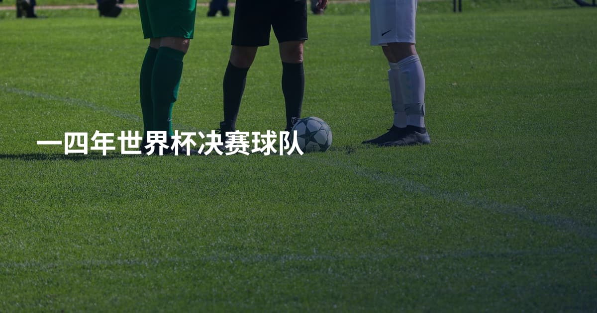 一四年世界杯决赛球队