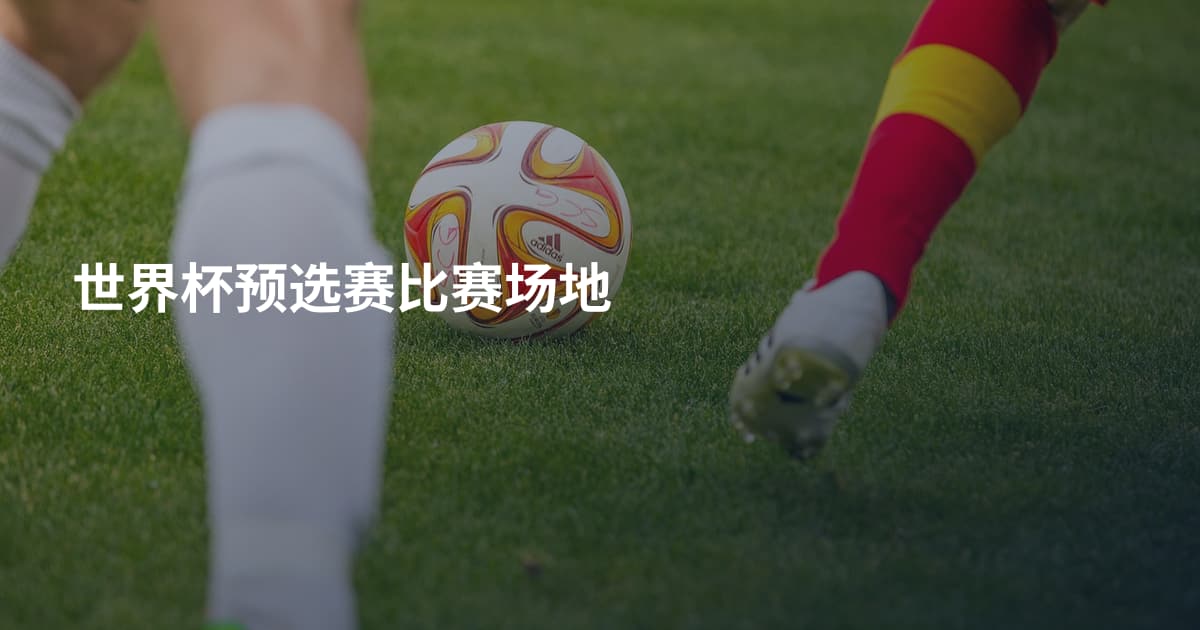 世界杯预选赛比赛场地