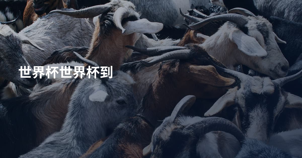 世界杯世界杯到