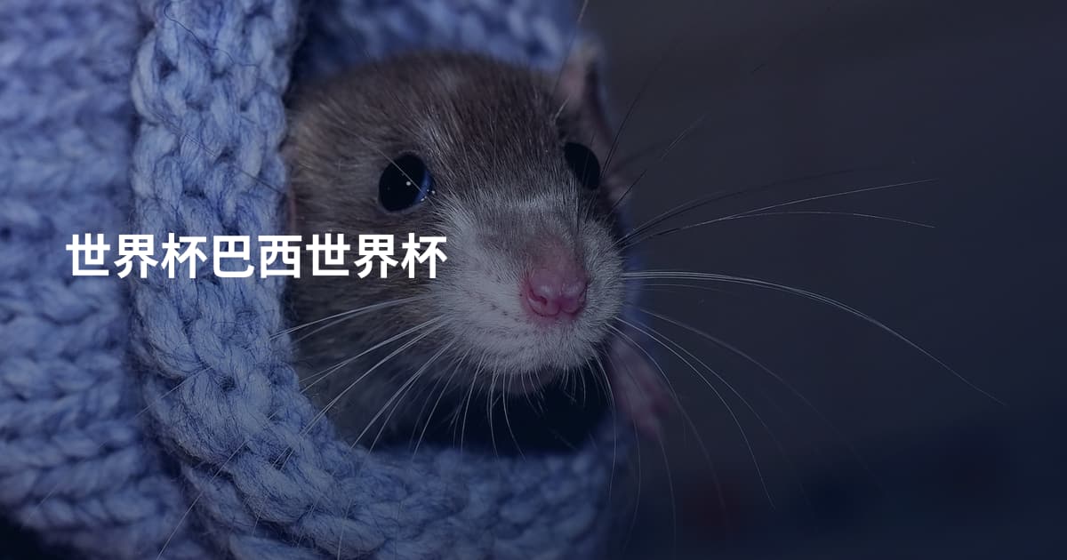 世界杯巴西世界杯