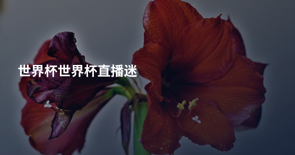 世界杯世界杯直播迷
