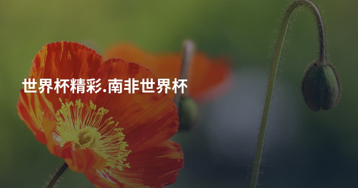 世界杯精彩.南非世界杯