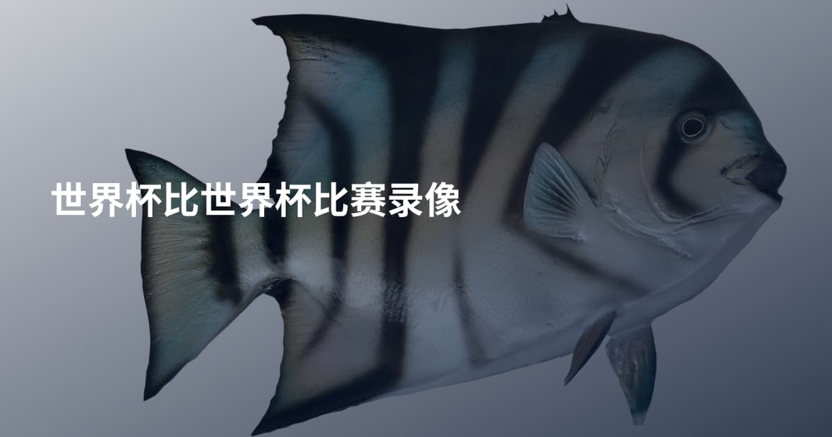 世界杯比世界杯比赛录像