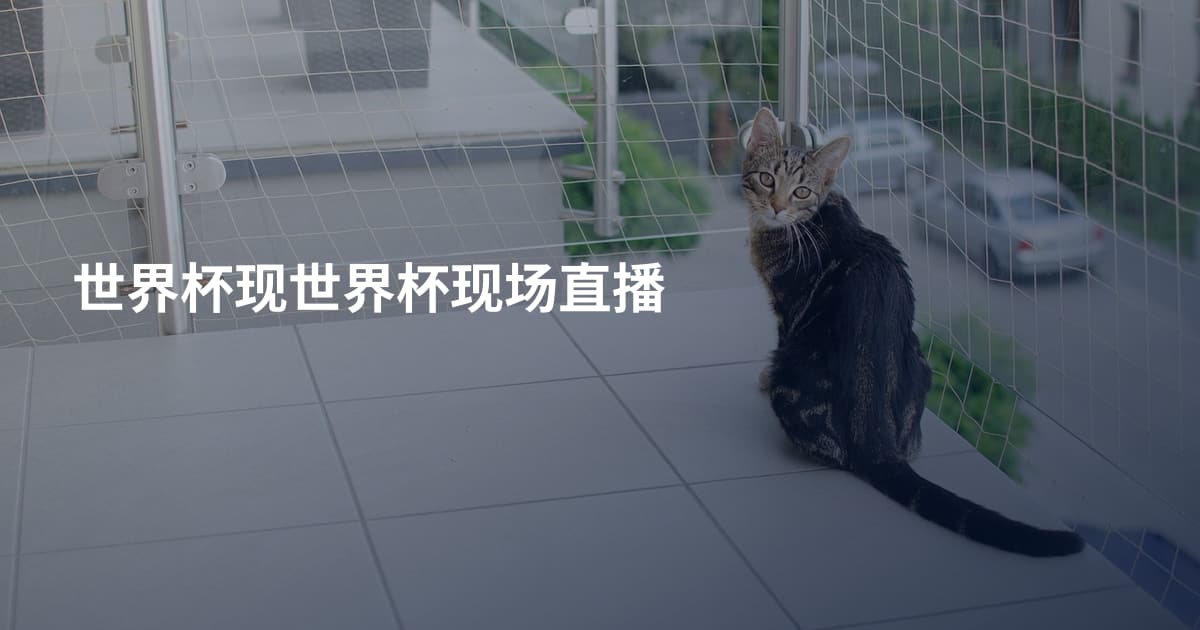 世界杯现世界杯现场直播