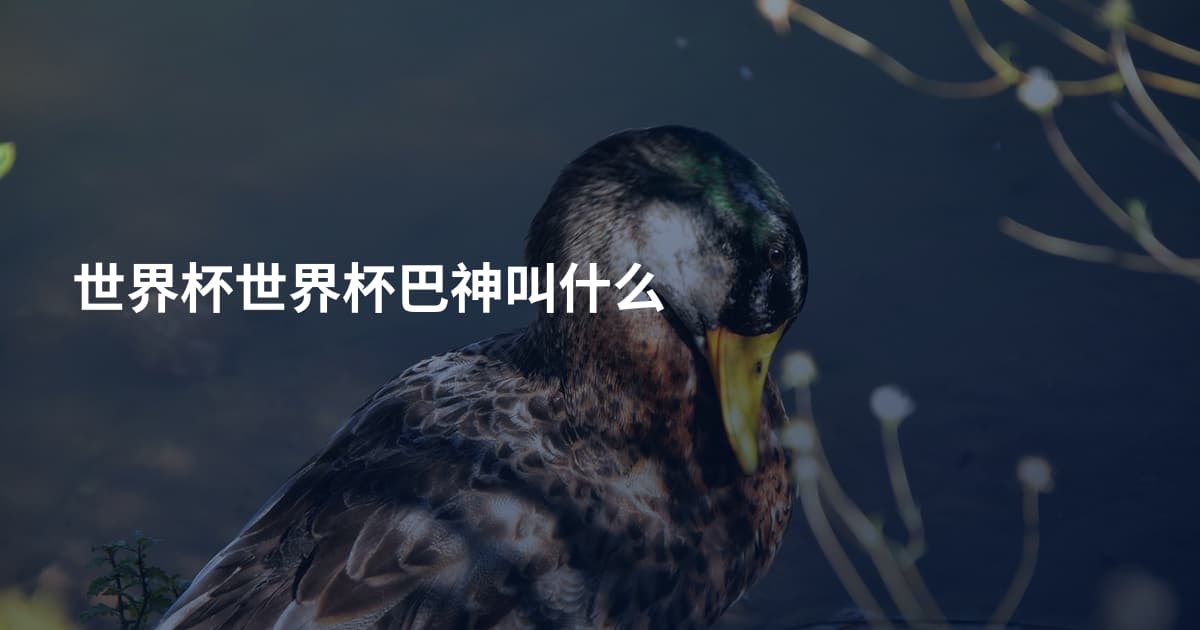 世界杯世界杯巴神叫什么