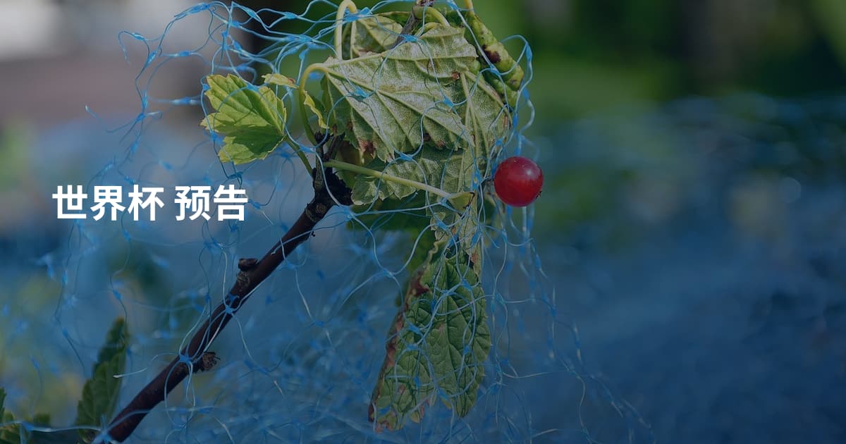 世界杯 预告