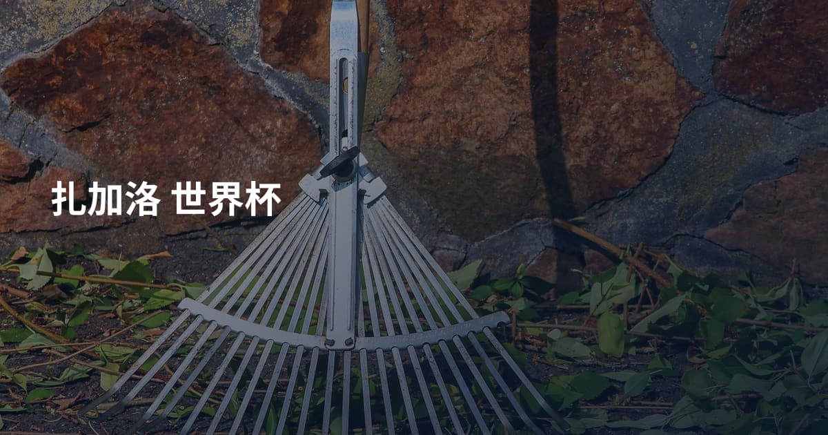扎加洛 世界杯