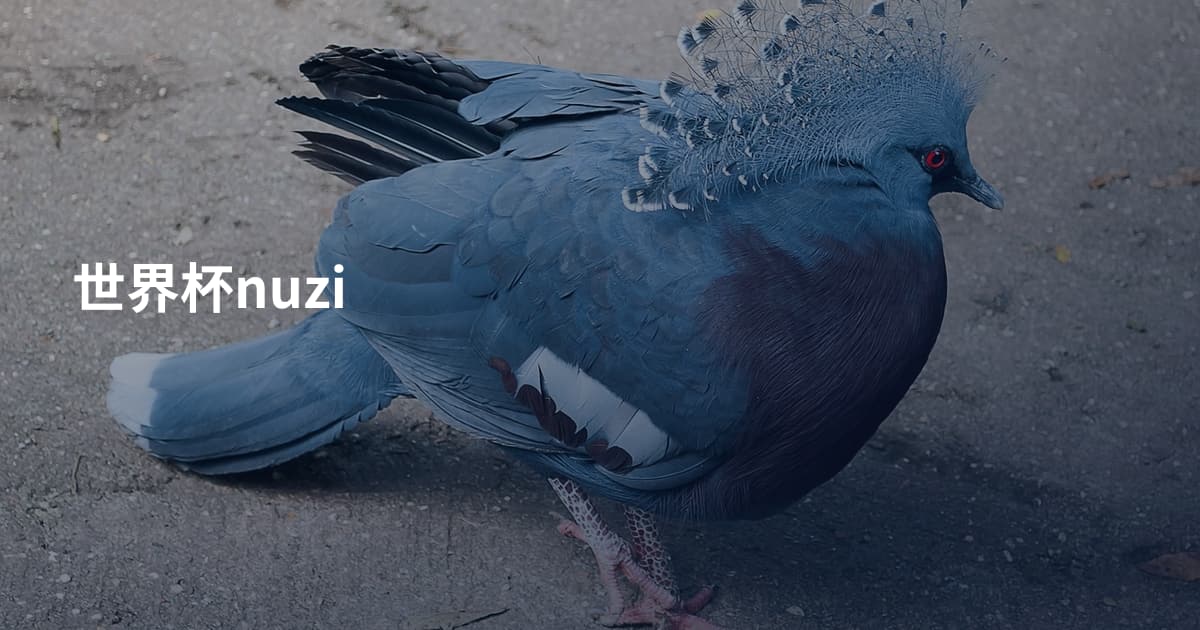 世界杯nuzi
