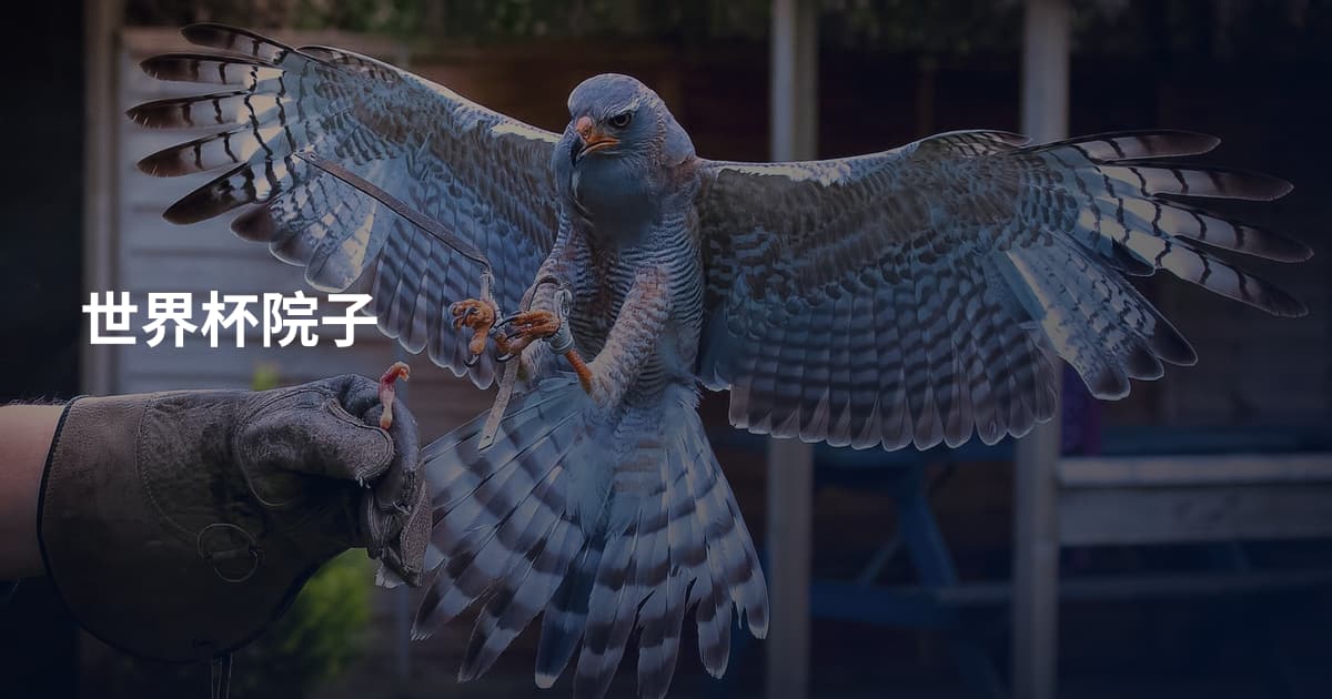 世界杯院子