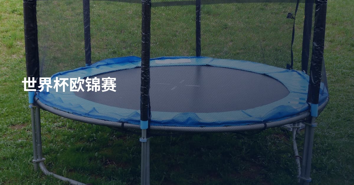 世界杯欧锦赛