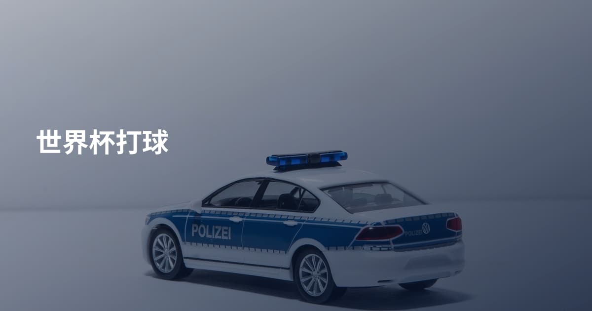 世界杯打球