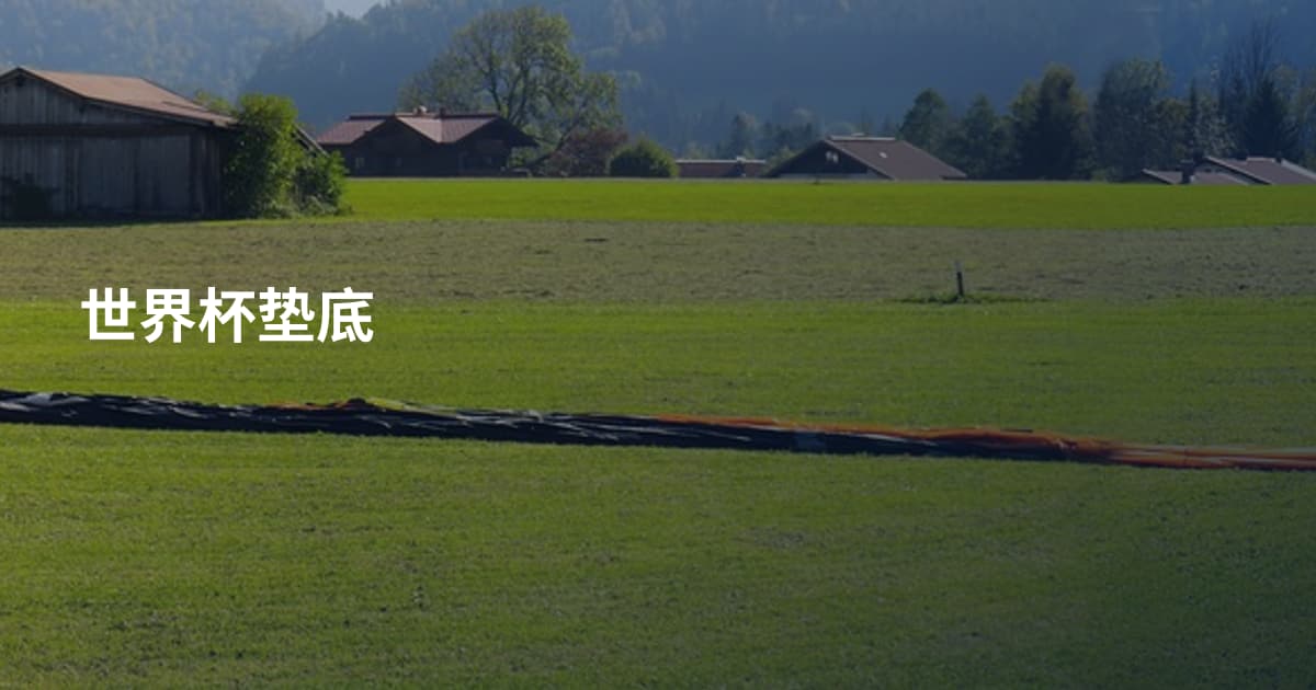 世界杯垫底