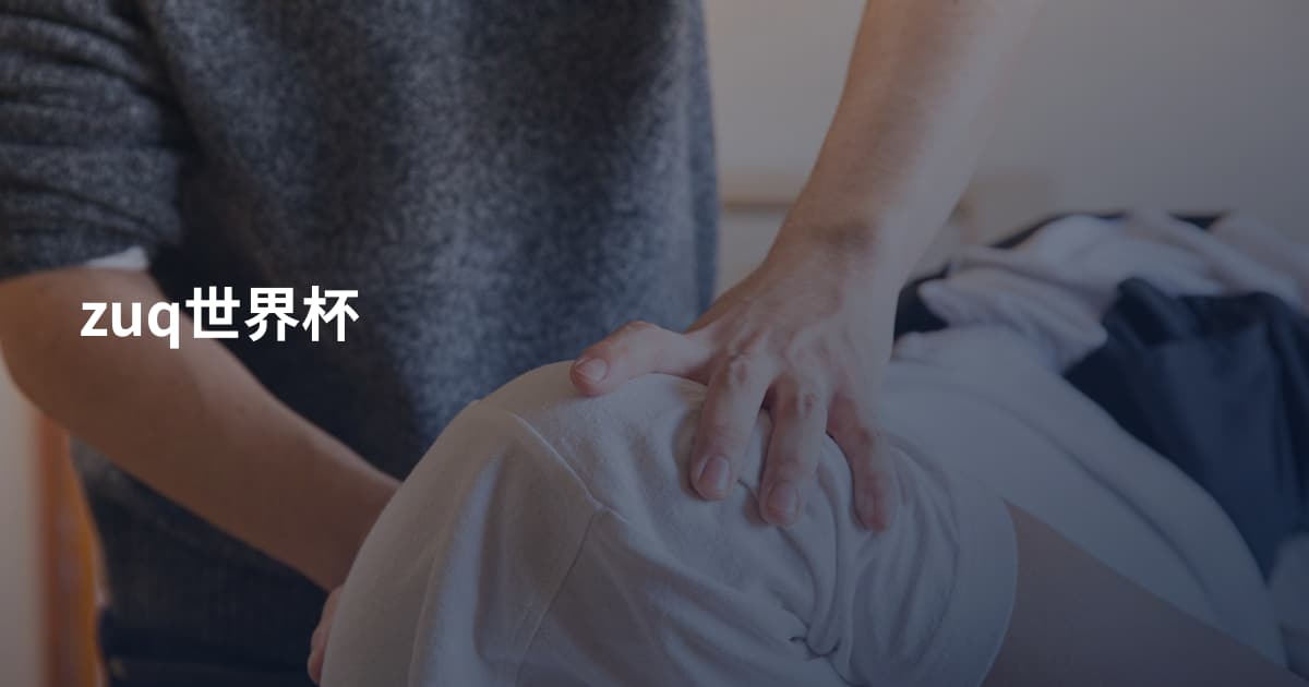 zuq世界杯
