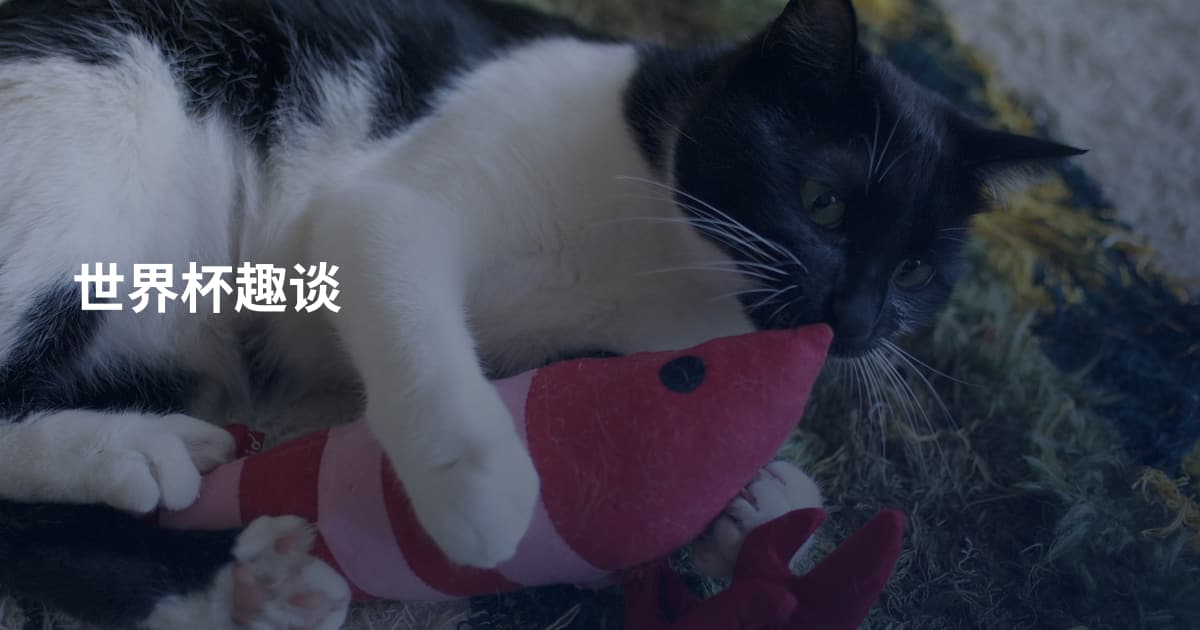 世界杯趣谈