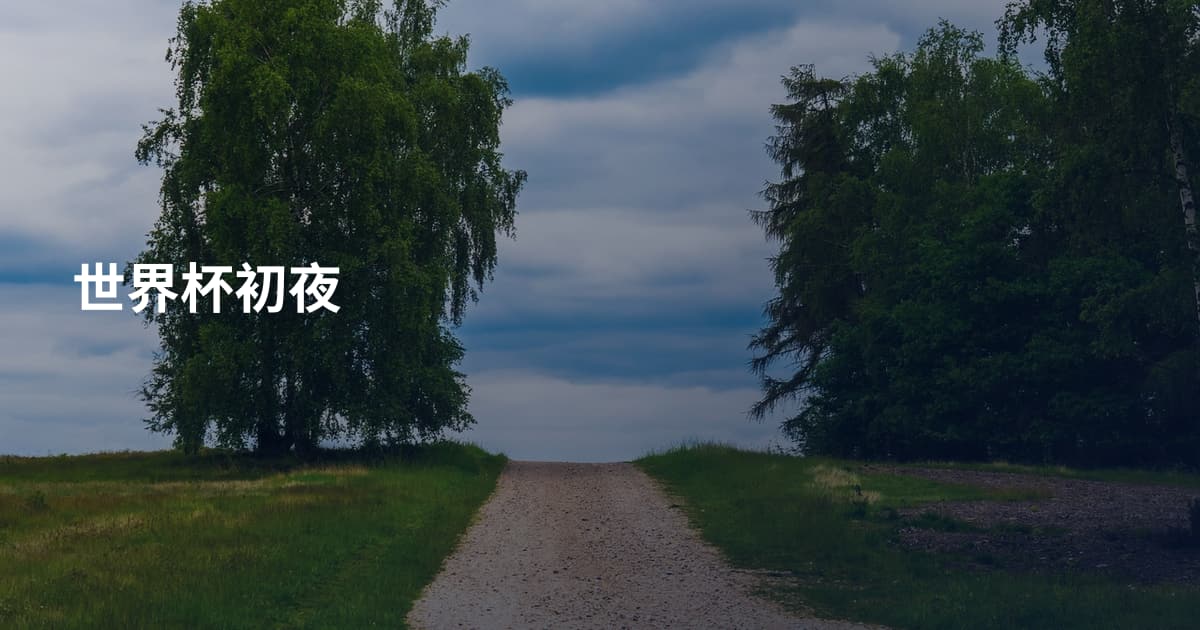 世界杯初夜