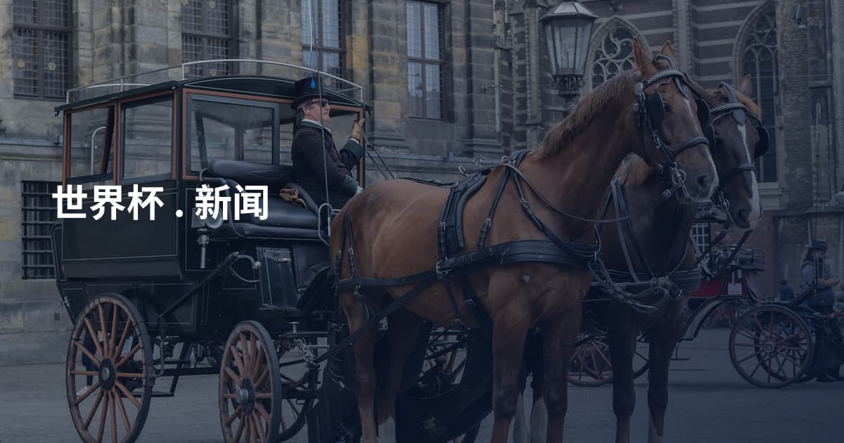 世界杯 . 新闻