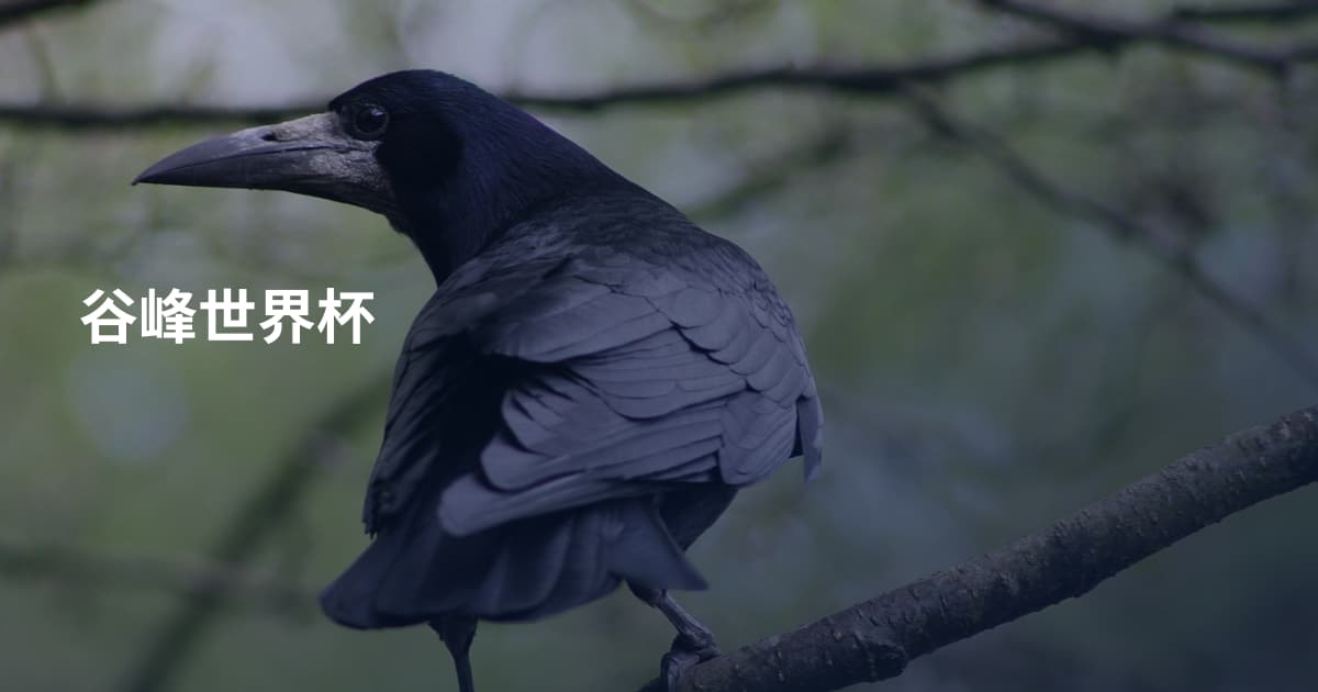 谷峰世界杯